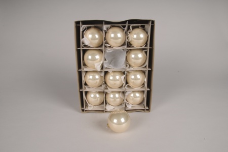 Boîte de 12 boules en verre brillant perle D6cm