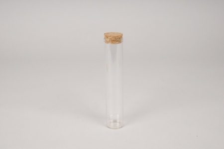 Boîte de 6 fioles en verre D3cm H15.5cm
