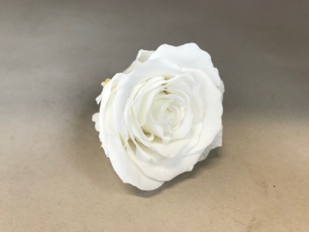 Boîte de 6 roses stabilisées blanches