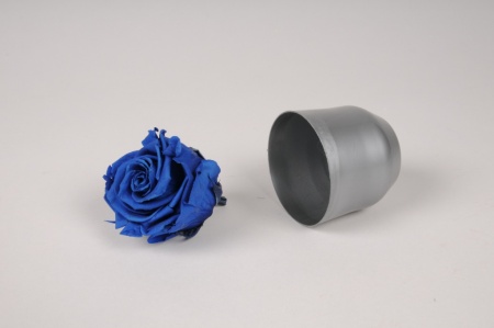 Boîte de 6 roses stabilisées bleues