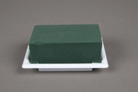 Boîte de 8 pièces de mousse florale avec base compostable, taille MINI