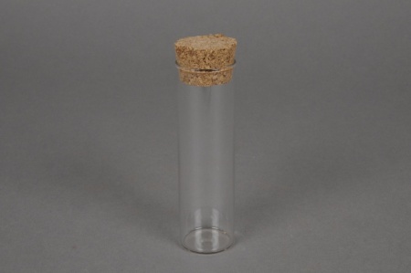 Boîte de 12 pipettes en verre avec bouchon D3cm H10cm