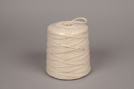 Rouleau fil de jute blanc D2mm