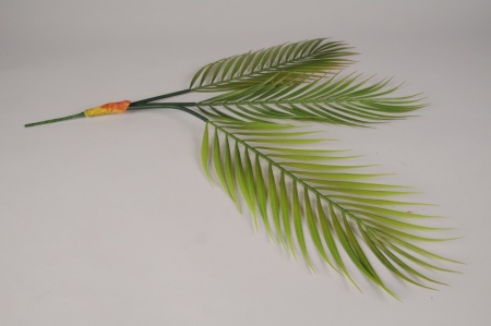 Areca artificiel vert H60cm