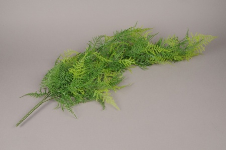 Asparagus artificiel vert H80cm
