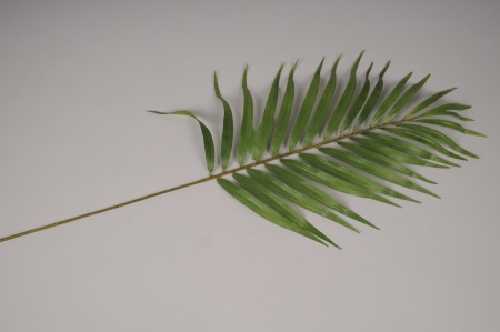 Feuille de mascarena artificielle verte H80cm