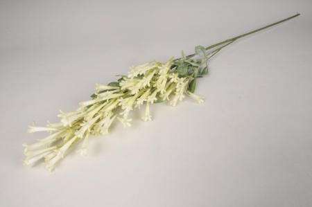 Bignone artificielle crème H95cm