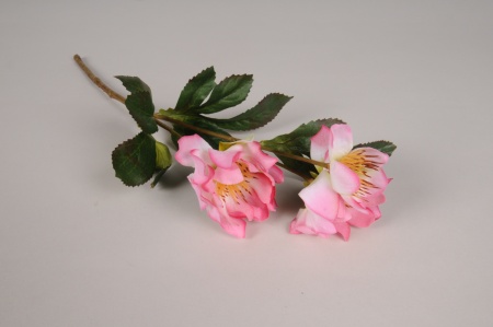 Hellébore artificielle rose clair H38cm