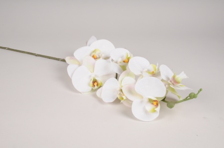 Phalaenopsis artificiel blanc H105cm