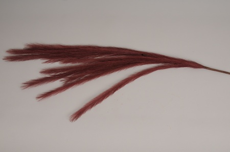 Plume artificielle bordeaux H138cm