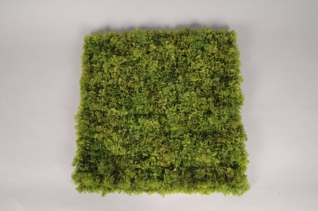 Plaque de mousse artificielle verte 50x50cm