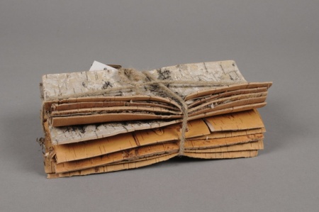 Paquet de 10 écorces de bouleau naturel 20x10cm