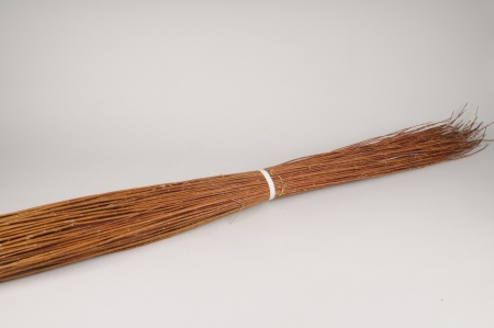 Osier brut naturel H120cm
