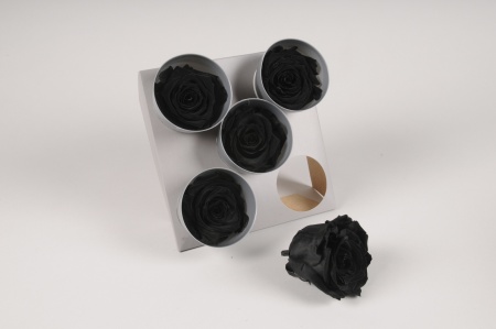 Boîte de 5 roses stabilisées noires