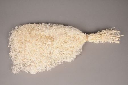 Gypsophile préservé blanc H50cm