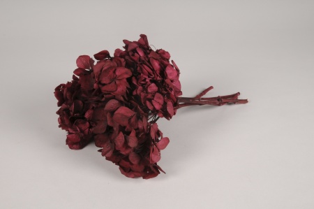 Hortensia préservé prune H30cm