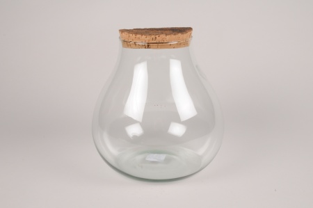 Terrarium en verre transparent D23cm H23cm