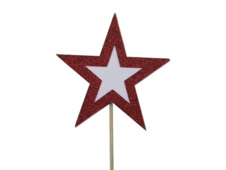 Boîte de 8 étoiles sur pique rouges D10cm