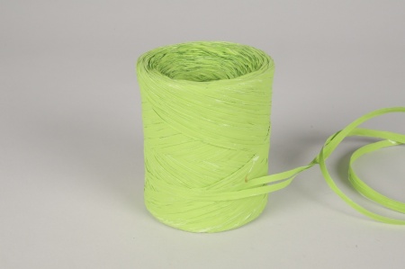 Bobine de raphia synthétique vert pomme 200m