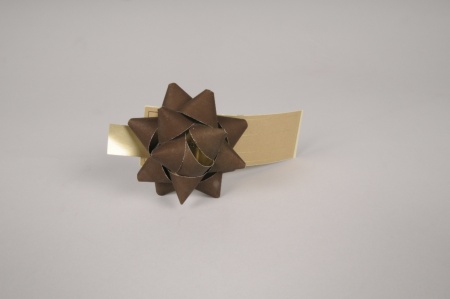 Boîte de 50 n?uds en papier marron D7cm