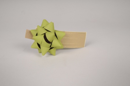 Boîte de 50 n?uds en papier vert D7cm
