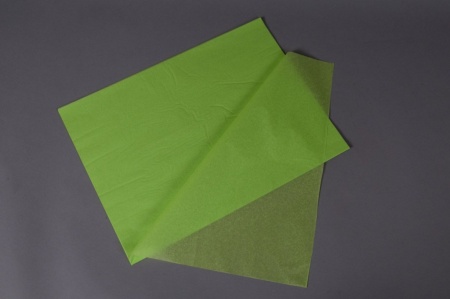 Paquet de 480 feuilles papier de soie vert pomme 50x75cm