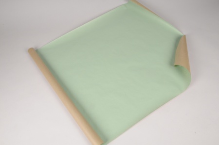 Rame de 250 feuilles papier kraft vert 60 x 80cm