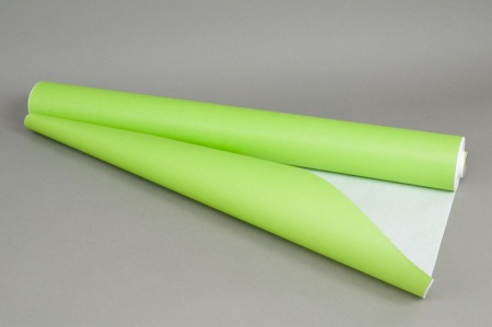 Rouleau de papier kraft blanc / vert pomme 0,8x50m