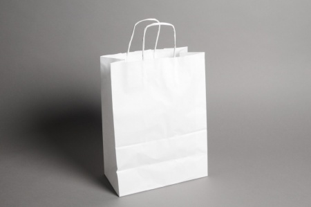 Paquet de 25 sacs kraft blanc 26cm x 12cm H36cm