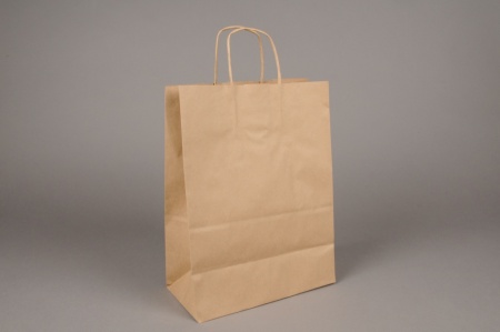 Paquet de 25 sacs kraft naturel 26cm x 12cm H36cm