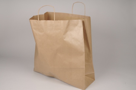 Paquet de 25 sacs kraft naturel 46cm x 16cm H48cm