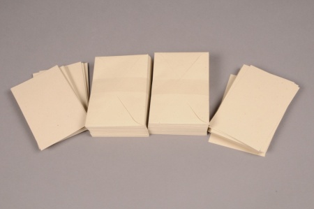 Paquet de 100 cartes et 100 enveloppes