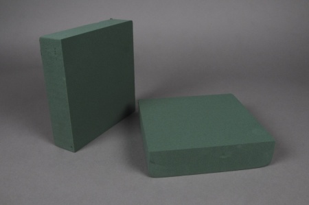 Paquet de 2 carrés en mousse florale 20x20cm