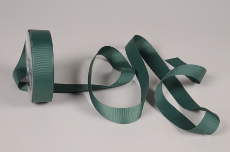Ruban gros grain vert foncé 25mmx20m