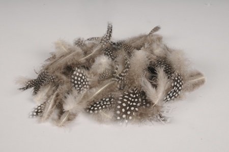 Boîte de plumes de pintade naturelles 45g