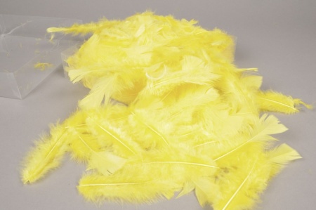 Boîte de plumes jaunes 45gr
