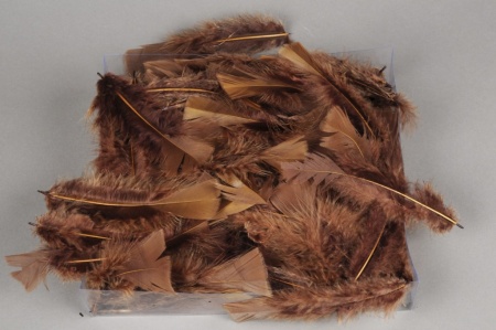 Boîte de plumes marron 45g