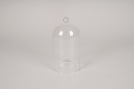 Cloche en verre D10cm H19cm