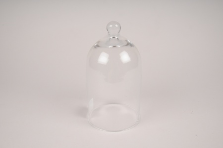 Cloche en verre D11cm H21cm