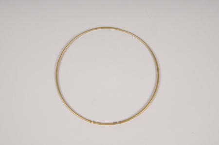 Cercle en métal or D20cm