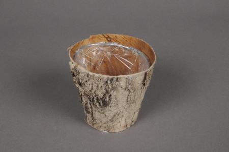 Cache-pot en écorce bois D7cm H7cm