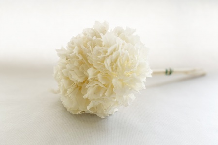 Hortensia préservé blanc H35cm