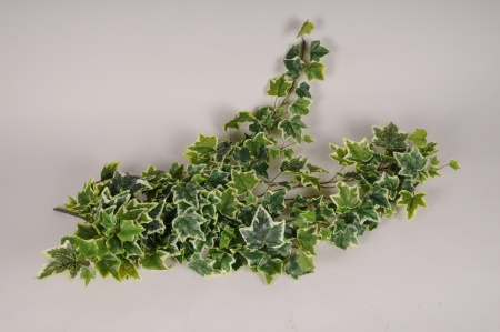 Lierre artificiel panaché vert et blanc L120cm