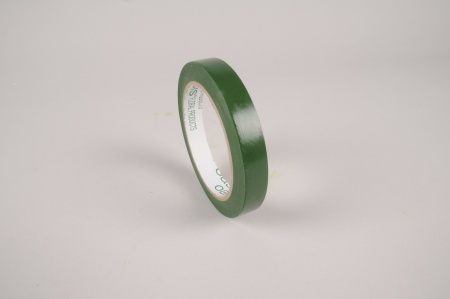 Paquet de 10 rubans adhésifs verts