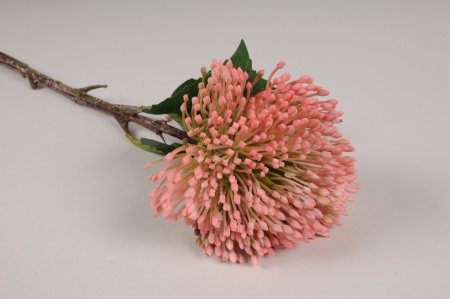 Sedum artificiel rose H43cm