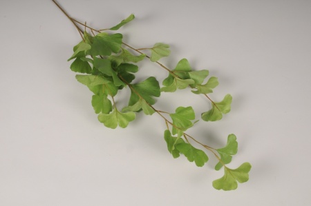 Ginkgo artificiel vert H86cm