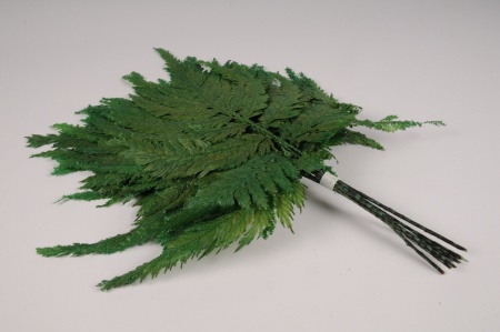 Fougère stabilisée plume verte H46cm