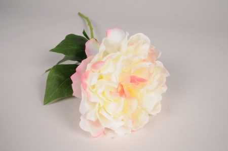 Pivoine artificielle crème H57cm