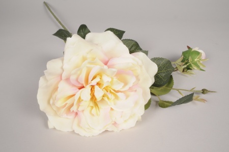 Rose de jardin artificielle crème H78cm