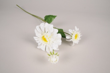 Zinnia artificiel blanc H59cm